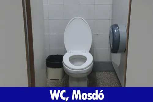 wc1-500x333