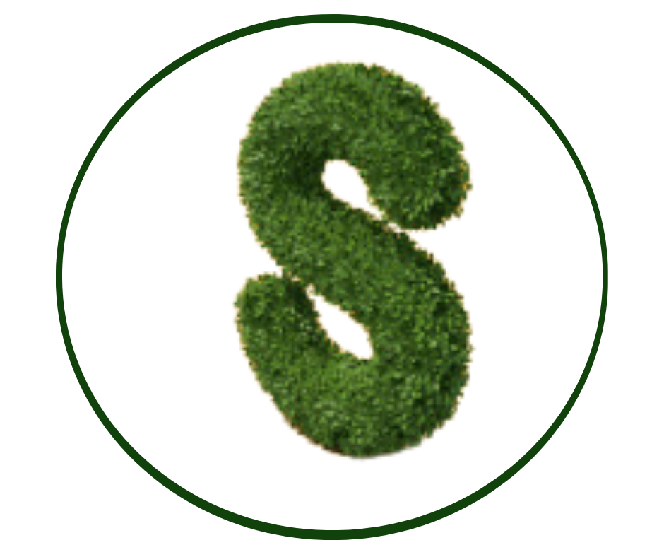 SÖVÉNYÁRUHÁZ