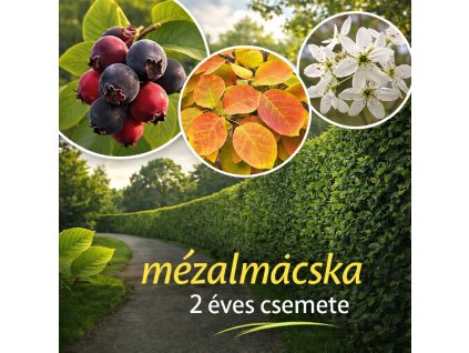 ChatGPT Image 2026. márc. 15. 18 27 36