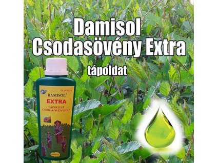 damisol csodasoveny extra