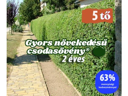 csodasövény 2 éves