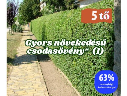 csodasövény 1 éves