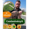 Csodasövény® - KÉT éves,  5 darabos növény csomag