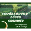 Csodasövény® - EGY éves, 5 darabos növény csomag