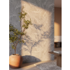 Breeze image foto 01