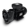 Waterway Executive Massage Pump-2 Speed- 0.36/1.98 kW- 1.6/8.6 Amp- Threaded 2" and 2.5"