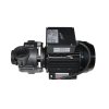 Balboa Massage pump UM EME - 3 HP (1-Speed)