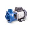 GECKO Zirkulationspumpe für Whirlpools 0.50 hp (0,18 kW) Aqua-Flo Circ-Master CMCP