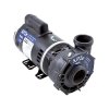 Gecko Aqua-flo Flo-Master Massagepumpe XP2e - 2 HP (2-Speed) (60hZ)