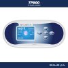 Balboa control panel TP900