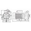 LX water pump for whirpools WP300 2.2KW (1-Speed) - BCLXWP300I