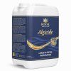 royal pool & spa algicide 15% 20l