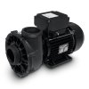 Waterway Massagepumpe Viper - 2,71 kW (2-Speed, 2,5" x 2,5")