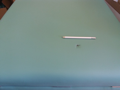 bazar-851-tandem-basic-2-300