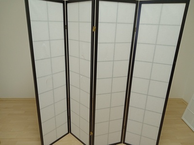 1-bazar-886-paravan-acron-4d-black-300