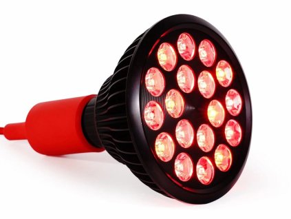 mito light bulb 4.0 | 1