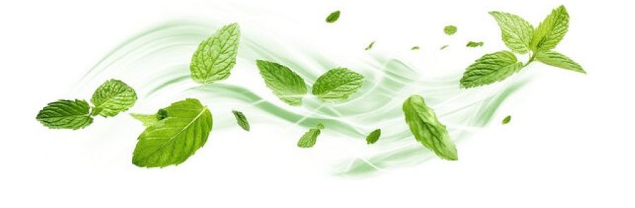 Aqua Aroma Mäta 5 ml – aróma do vírivky, sauny, wellness a kúpeľa