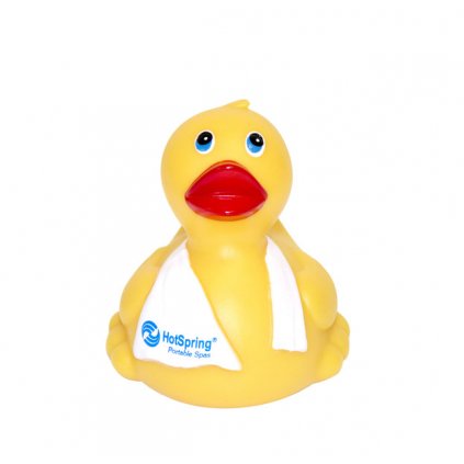 60623 hot spring duck 2