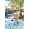 Artesian Spas - Island Spas Elite - Grand Bahama Elite