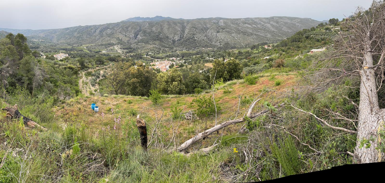 Paisaje de la Marina Alta en la Comunidad Valenciana