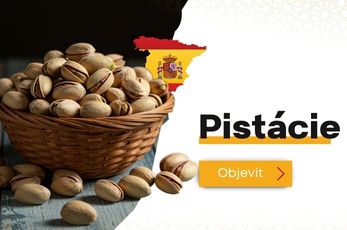 PISTACIE