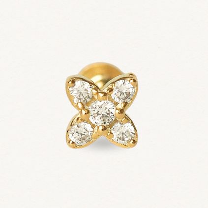 Labreta Kytička (1 ks)