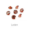 Leden