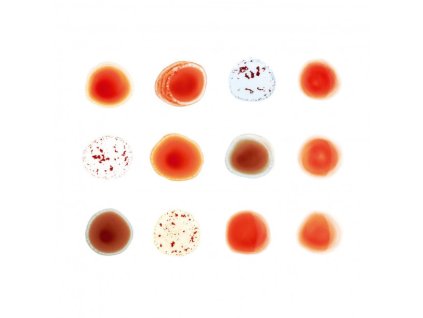 PETER GABRIEL - SCRATCH MY BACK / AND I&apos;LL SCRATCH YOURS - 2CD