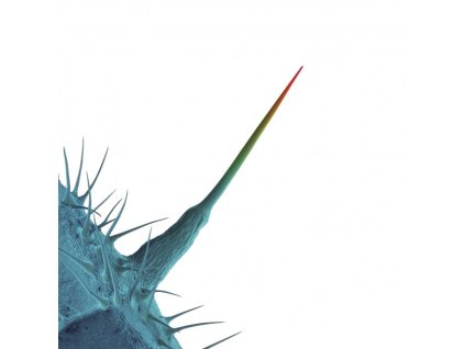 PETER GABRIEL - AND I&apos;LL SCRATCH YOURS - CD