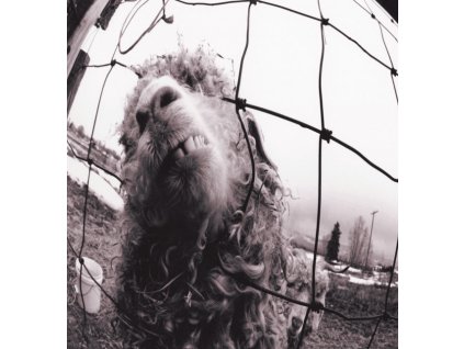 PEARL JAM - VS. - LP