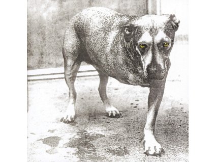 ALICE IN CHAINS - ALICE IN CHAINS - CD
