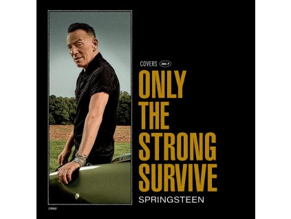 BRUCE SPRINGSTEEN - ONLY THE STRONG SURVIVE - CD
