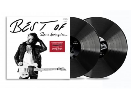 BRUCE SPRINGSTEEN - BEST OF - 2LP
