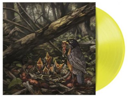 ACACIA STRAIN - STEP INTO THE LIGHT (YELLOW) - LP