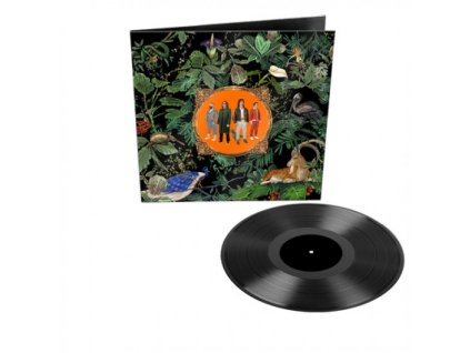 DON BROCO - Amazing Things - LP