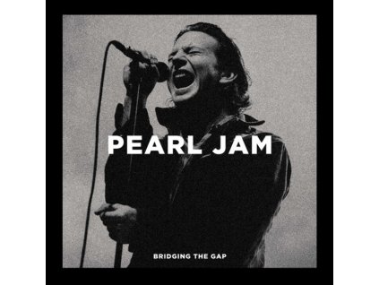 PEARL JAM - BRIDGING THE GAP - 2LP