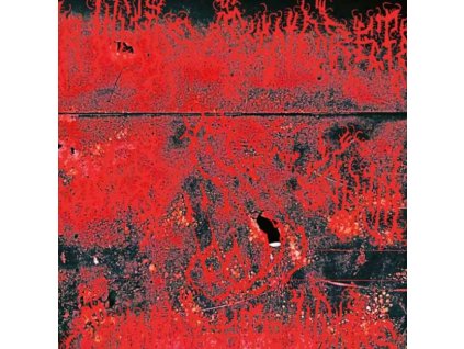 CONCRETE WINDS - CONCRETE WINDS - CD