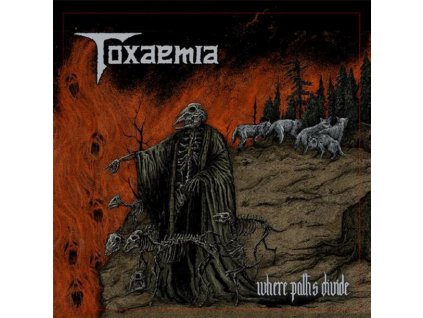 TOXAEMIA - WHERE PATHS DIVIDE - CD