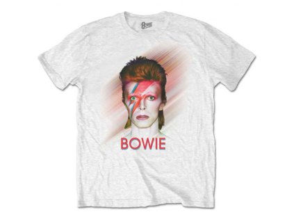 DAVID BOWIE - BOWIE IS (BACK PRINT) - TRIKO
