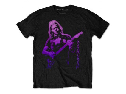 PINK FLOYD - DAVID GILMOUR (PIG GRADIENT) - TRIKO