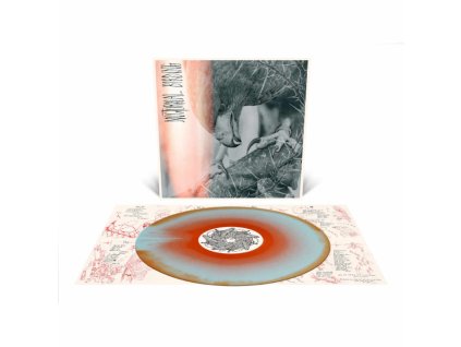 author and punisher nocturnal birding orange blue merge lp