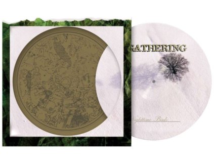the gathering nighttime birds picture lp