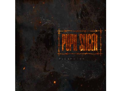 PUPIL SLICER - FLESHWORK - CD