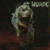 WARNING - RITUALS OF SHAME - LP