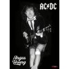 AC/DC - ALBUM PO ALBU - KNIHA