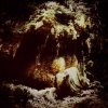 WOLVES IN THE THRONE - ROOM CELESTIAL LINEAGE - CD