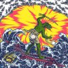 KING GIZZARD & THE LIZARD WIZARD - TEENAGE GIZZARD - CD