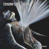 INNUMERABLE FORMS - PAIN EFFULGENCE - CD