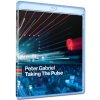 PETER GABRIEL - TAKING THE PULSE (LIVE IN VERONA) - BRD