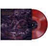 STABBING - EON OF OBSCENITY - LP
